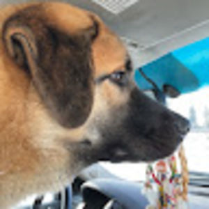 Meet your Posher, Jerome